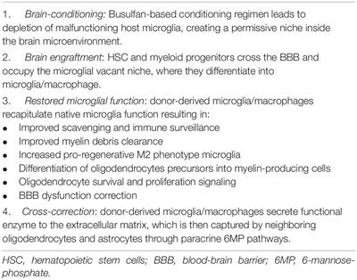 Hematopoietic Stem Cell Transplantation for Neurological Disorders: A Focus on Inborn Errors of Metabolism